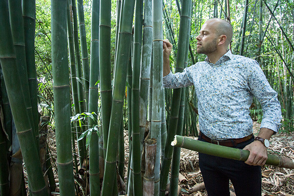 Medarbejder Daniel i bambusskov
