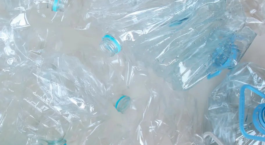 Recycled Polyester