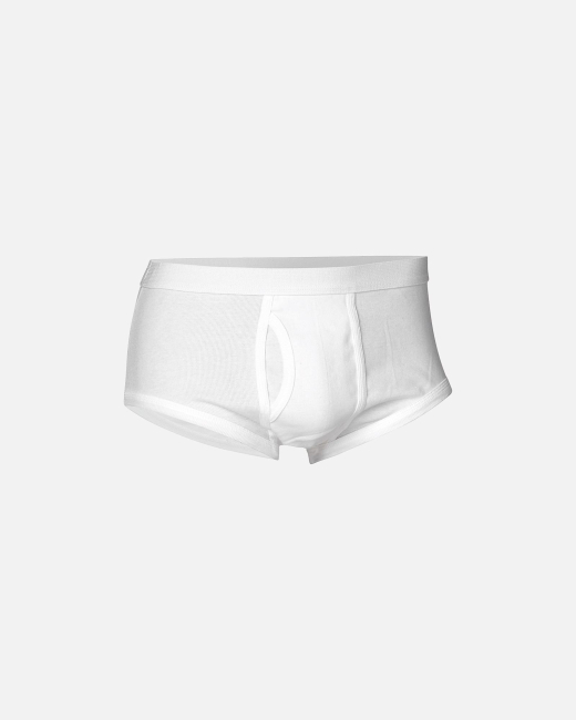 Briefs